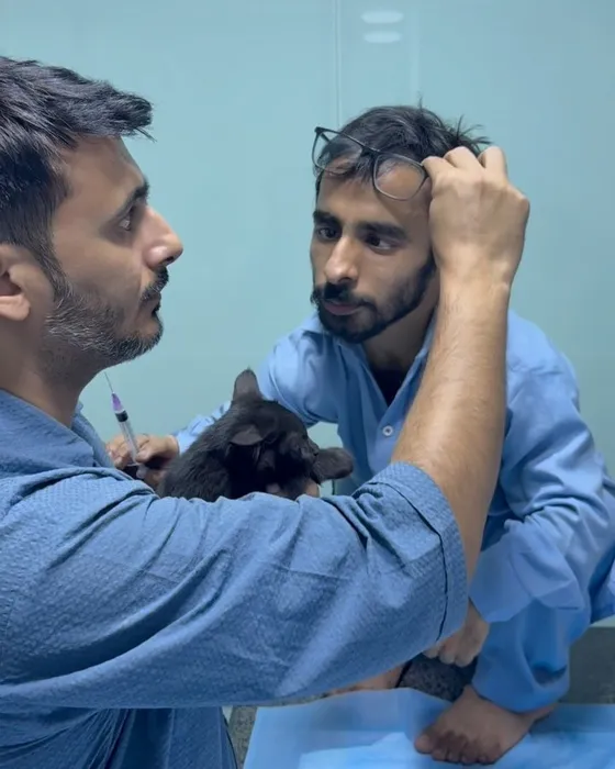 A vet holding a syringe beside a black kitten